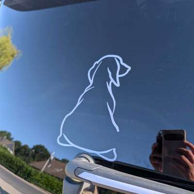 Was hat euch heute mit eurem Hund gefreut?-Beitrag-Bild