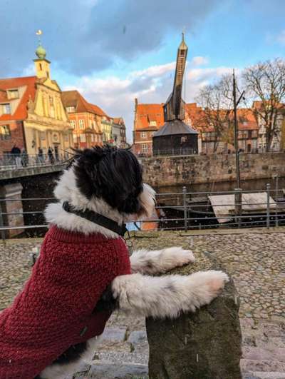 151. Photo Challenge: Sehenswürdigkeiten-Beitrag-Bild