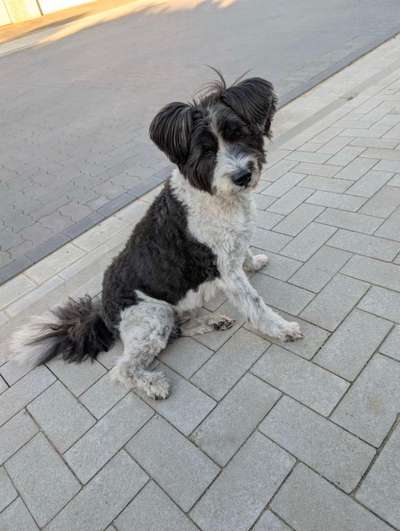 Gangbild/-analyse-Beitrag-Bild