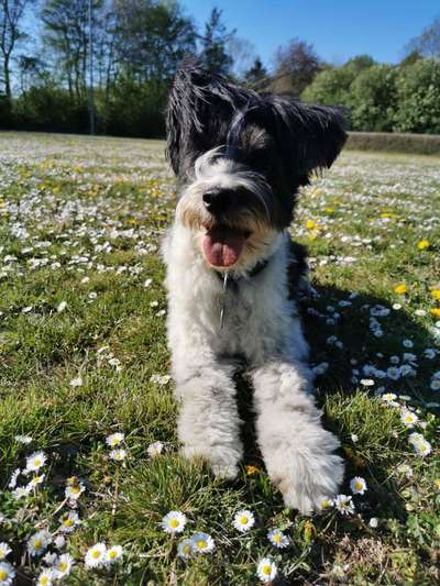 Fotowettbewerb zum Thema "Sonne"-Beitrag-Bild