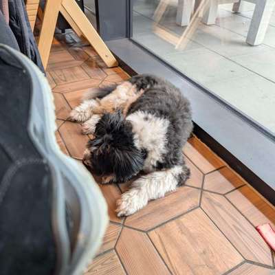 Was hat euch heute gefreut?-Beitrag-Bild