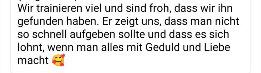 Was tun, wenn Hund beim spazieren gehen abhaut ?-Beitrag-Bild