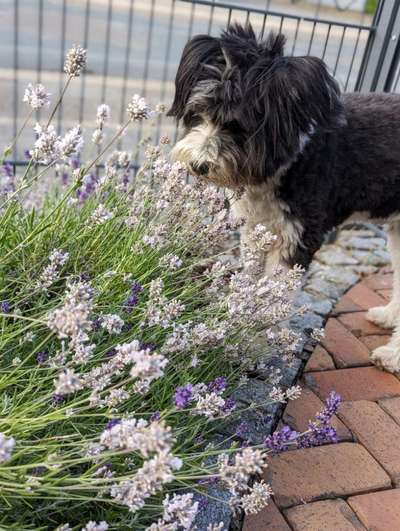 Zeigt eure schönsten Sommerbilder-Beitrag-Bild