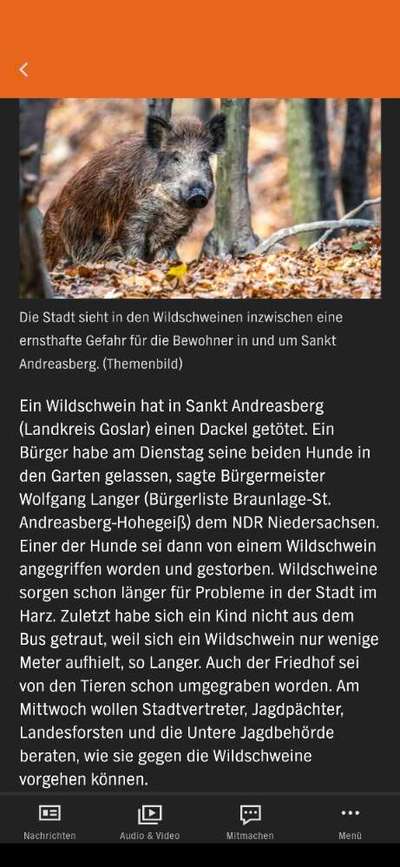 Was hat euch heute gefreut?-Beitrag-Bild