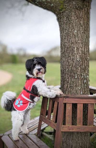 12. Farben Foto Challenge --- Braun-Beitrag-Bild