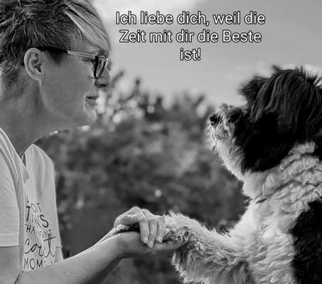 Fotowettbewerb "Liebeserklärung an deinen Hund!"-Beitrag-Bild