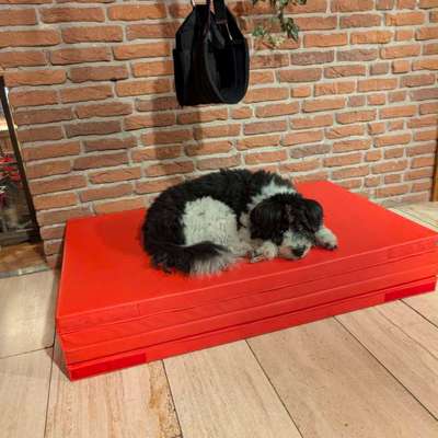 Was hat euch heute gefreut?-Beitrag-Bild