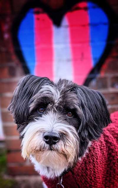 67. Handy Foto Challenge: Rotes Herz-Beitrag-Bild