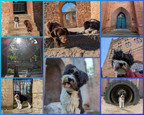 58. Foto Collagen Challenge: Torbögen-Beitrag-Bild