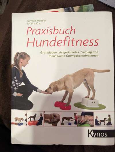 Arthrose-Beitrag-Bild