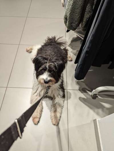 Was hat euch heute gefreut?-Beitrag-Bild