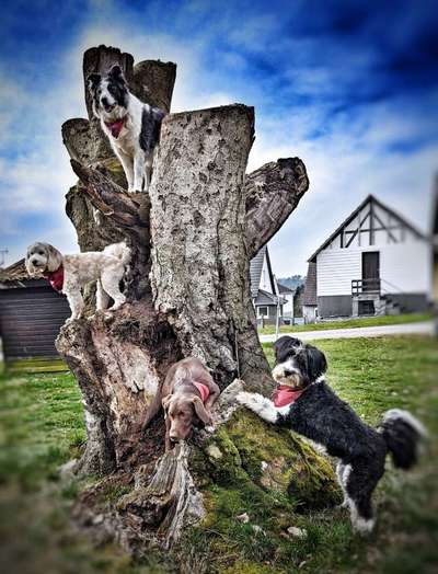 Was hat euch heute gefreut?-Beitrag-Bild