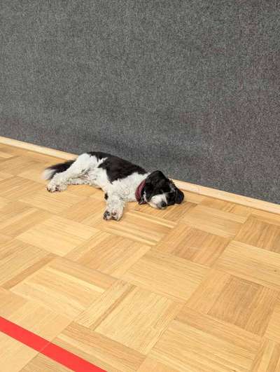 Was hat euch heute gefreut?-Beitrag-Bild