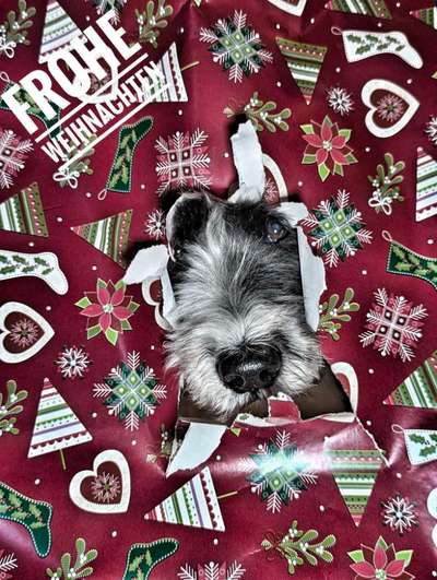aktuelles Foto Gruppe Adventskalender 2024
