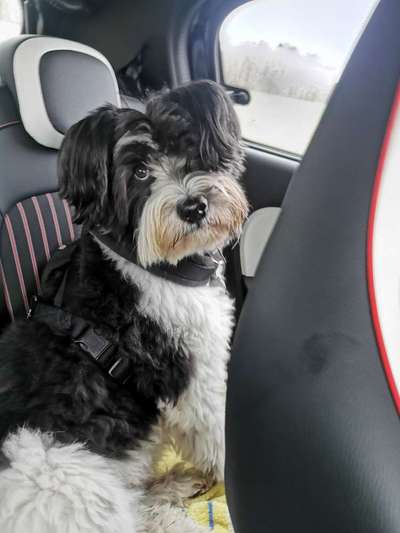 117. Fotochallenge-Beitrag-Bild