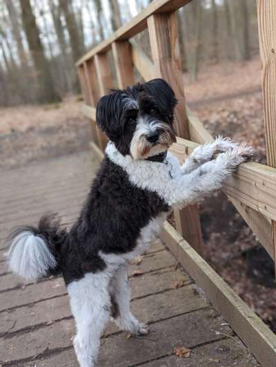 Foto Challenge Thema "Brücke"-Beitrag-Bild