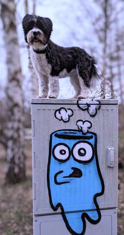 19. Farben  Fottochallenge :
Lieblingsfarbe-Beitrag-Bild