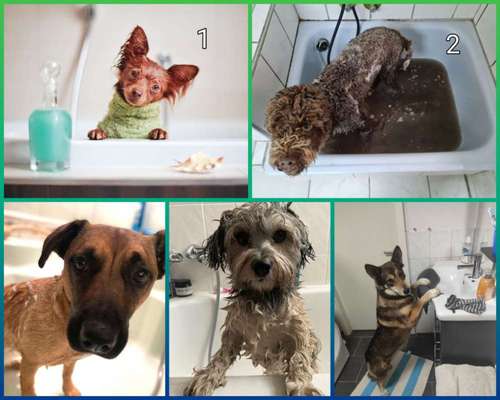 Fotochallenge 128-Beitrag-Bild