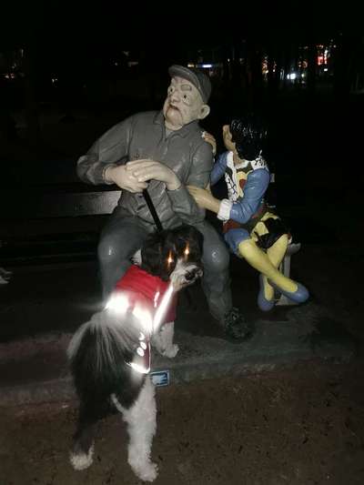 Fotowettbewerb ,,mein gruseliger Hund"-Beitrag-Bild