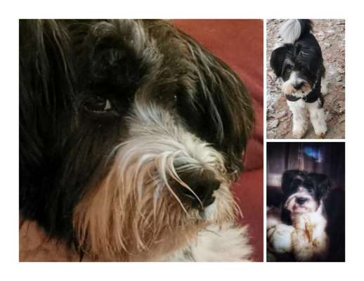 26. Handy Foto Challenge-Beitrag-Bild