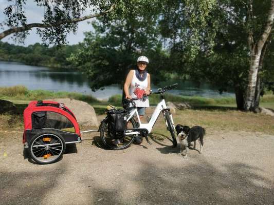 Hundeanhänger für das Fahrrad-Beitrag-Bild