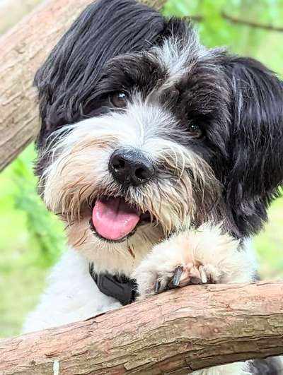 150. Foto Challaenge:  Die Augen, der Spiegel der Seele-Beitrag-Bild