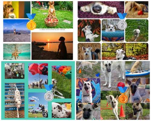 48. Collagen Challenge: Das Leben ist bunt-Beitrag-Bild