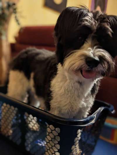 Trick-Challenge Nr.26 Quetschen-Beitrag-Bild