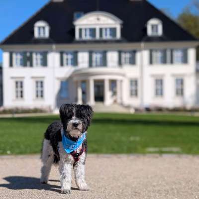 Was hat euch heute gefreut?-Beitrag-Bild