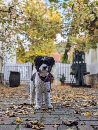 Was hat euch heute gefreut?-Beitrag-Bild