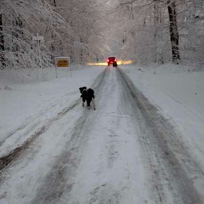 Was hat euch heute gefreut?-Beitrag-Bild