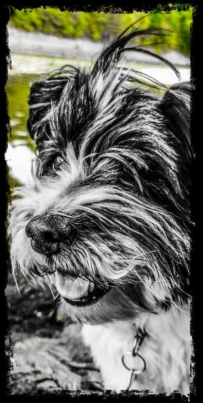 Photoshop und Co.-Beitrag-Bild