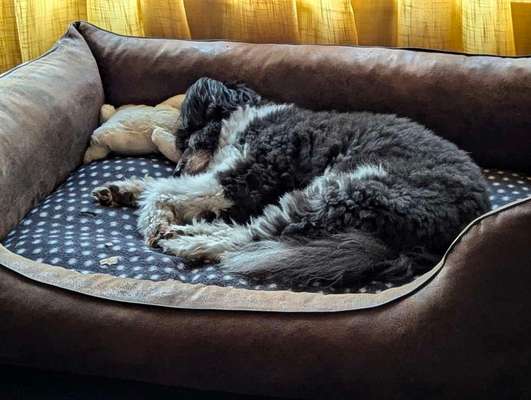 48. impulskontrolle Challenge " Decke heißt Decke "-Beitrag-Bild