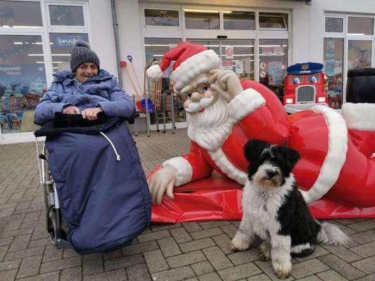 Dogorama Photo Challenge - Nikolaus-Beitrag-Bild