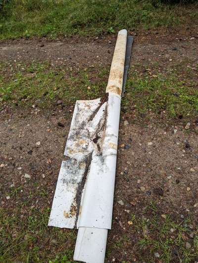 Challenge – Gassi & Clean-Beitrag-Bild