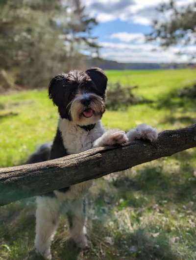 Farben Fotochallenge Thema ,,Grün"-Beitrag-Bild