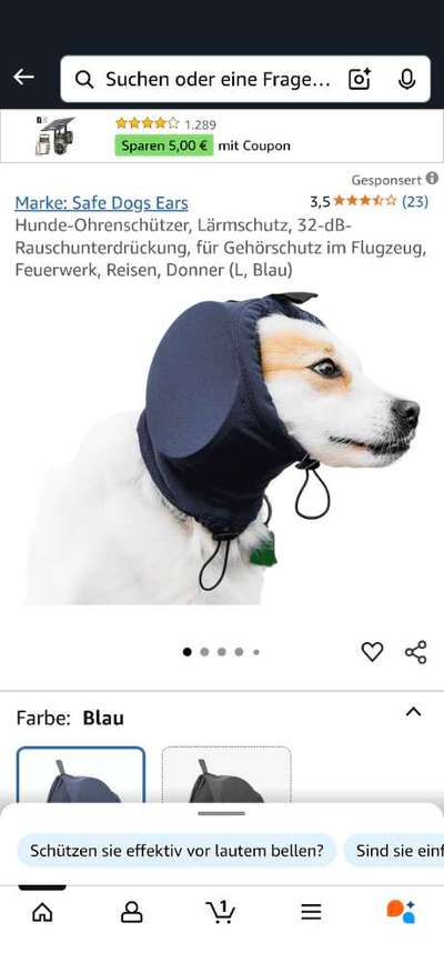 Hund & Gewitter-Beitrag-Bild