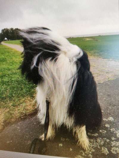 Vom Winde verweht Frisuren...-Beitrag-Bild