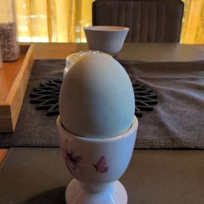 Was hat euch heute gefreut?-Beitrag-Bild