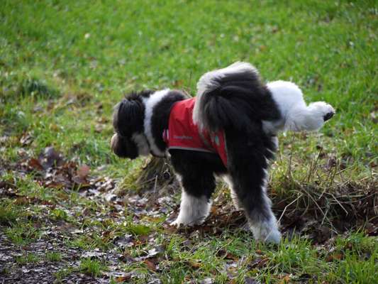 35. Handy Foto Challenge - Das nasse Element-Beitrag-Bild