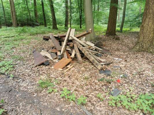 Challenge – Gassi & Clean-Beitrag-Bild