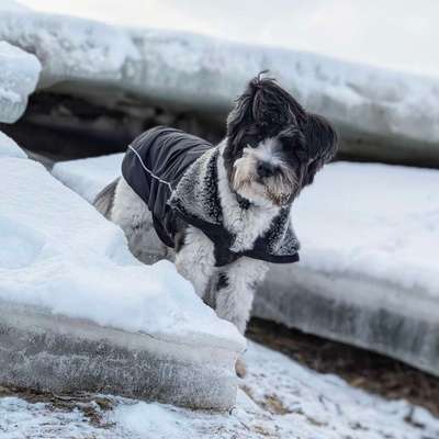 Was hat euch heute gefreut?-Beitrag-Bild