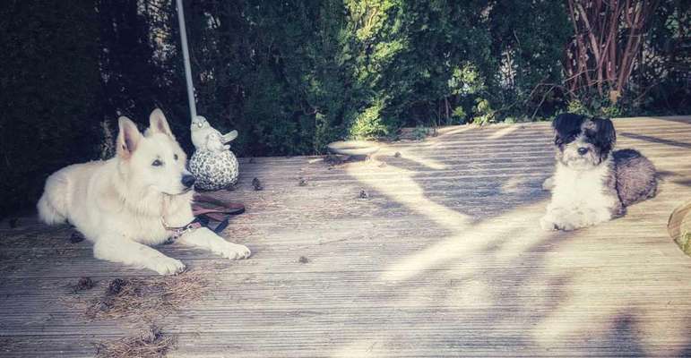 Was hat euch heute gefreut?-Beitrag-Bild