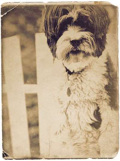 FarbenFoto - Challenge: Sepia-Beitrag-Bild