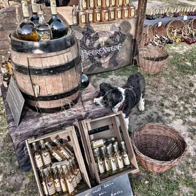 87. Trickchallenge: kinntarget-Beitrag-Bild