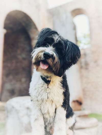 69. Handy-Fotochallenge: Soundtrack-Beitrag-Bild