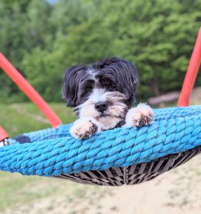 23. Farben / Fotochallenge - Türkis --Beitrag-Bild