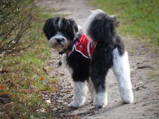 Außergewöhnliche Merkmale-Beitrag-Bild