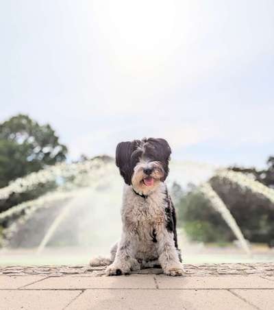 Zeigt eure schönsten Sommerbilder-Beitrag-Bild