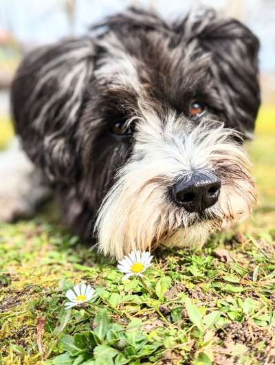 Sie werden so schnell erwachsen ...-Beitrag-Bild